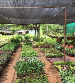 Neeladri Farm And Nursery