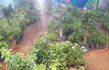 Sri Sai Srshti Garden Nursery