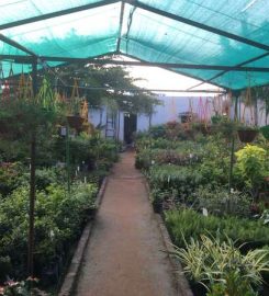 Rifa Green garden