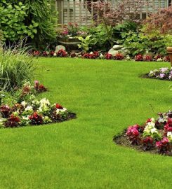 Nila Garden Design And Landscaping