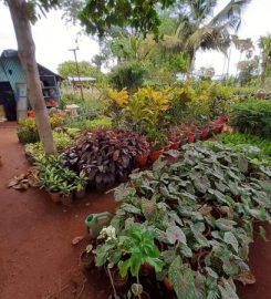 Sri Balaji Nursery Gardens