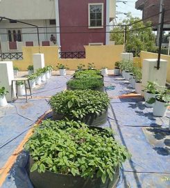 Green Mithra Nursery & Garden Center
