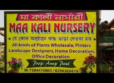 Maa Kali Nursery