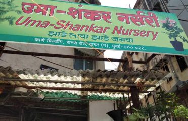 Uma Shankar Nursery