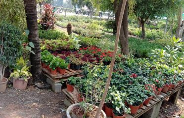 Sanjay N Salat Garden Service
