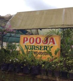 Pooja Garden & Nursery