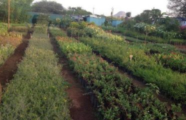 Sanap Nursery