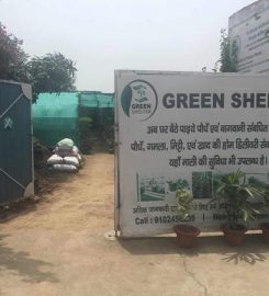 Green Shelter Nursery