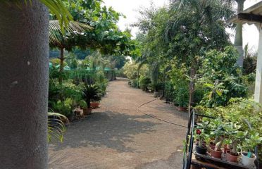 Shri Hari Nursery and Farm