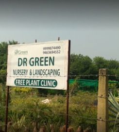 Dr Green Nursery