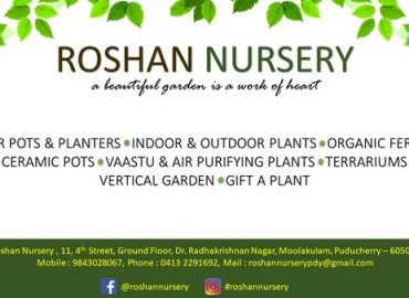 Roshan Nursery