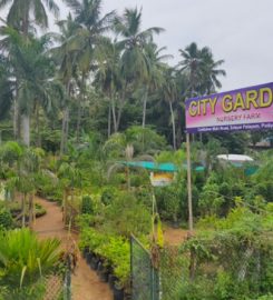 City Garden Plant Nursery