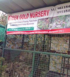 Green Gold Nursery