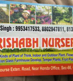 Rishabh Nursery