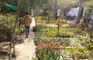 Kanha Ji Nursery