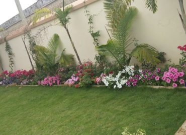 Ashok Gardening