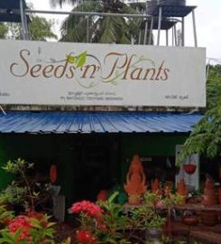 Seeds ‘n’ Plants