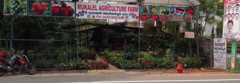 Mukalel Agriculture Farm