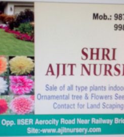 Shri Ajit Nursery