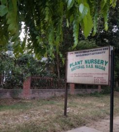 PUDA Plant Nursery