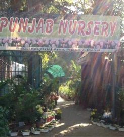 Punjab Nursery