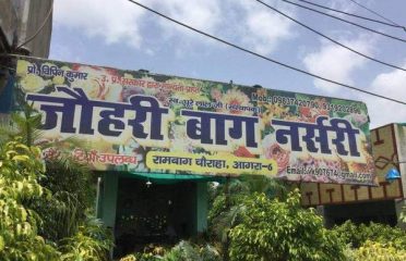 Johri Bagh Nursery