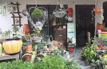 Harit – The Plants Shop