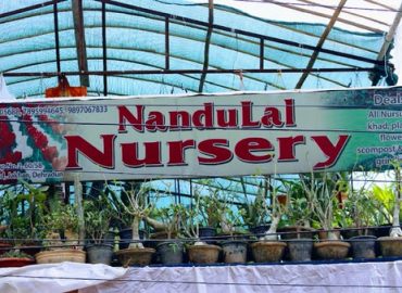 Nandu Lal Nursery