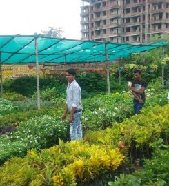 Pot ‘O Green Horticultural Nursery