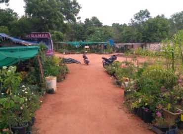 Sri Auro Garden Center and Nursery