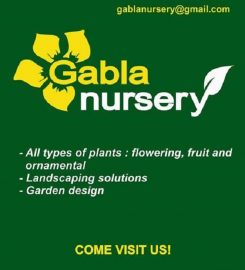 Gabla Nursery