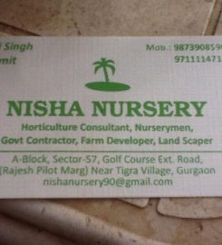 Nisha Nursery