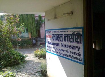 Bharat Nursery