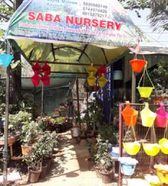 Saba Nursery