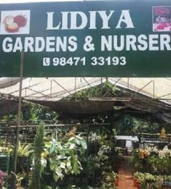 Lidiya Nursery
