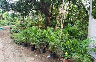 Gaurav Garden Nursery