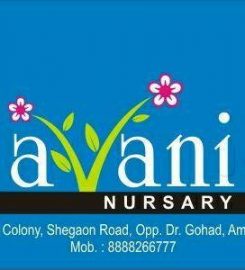Avani Nursery