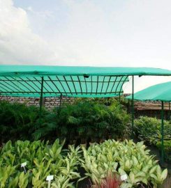 Pot ‘O Green Horticultural Nursery