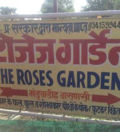 The Roses Garden