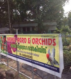 Yashus Agro and Orchids