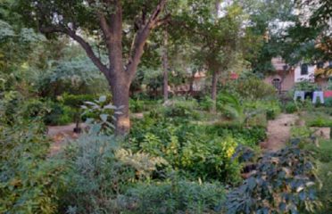 Kochuparampil Garden & Nursery