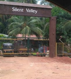 Silent Valley Orchads & Nurseries