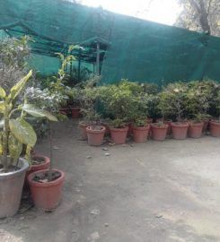 PUDA Plant Nursery
