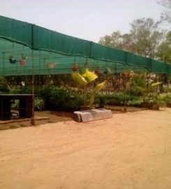 Shree Umiya Nursery & Farm