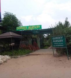Gurdev Nursery