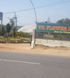 VK Flower Nursery