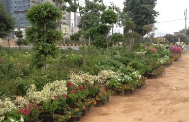 Garden World Nursery