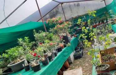 Vatika Nursery