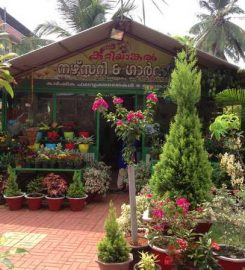 Kuttiyankal Nursery and Garden