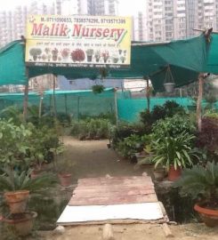 Malik Nursery
